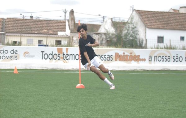 Acrilsports Pole for agility training
