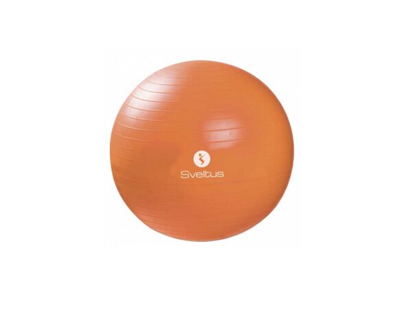 Sveltus, pelota de pilates de 65 cm